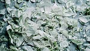 Fresh shredded cabbage on a light table, closup