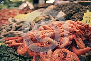 Fresh shrimp at the Boqueria market