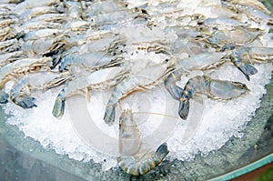 Fresh shrimp on ice