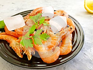 Fresh shrimp ice parsley on a plate