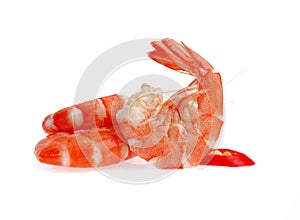 Fresh shrimp isolated on white background