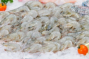 Fresh Shrimp or Prawn on Ice seafood market