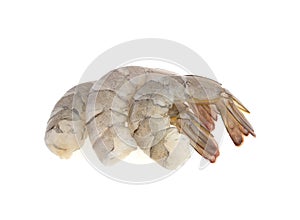 Fresh shrimp prawn isolated on white background