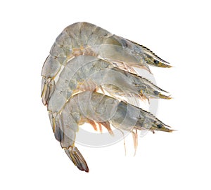 Fresh shrimp prawn isolated on white background