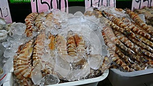 Fresh shrimp and squid on ice in a fish stall