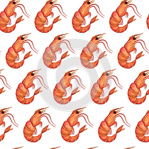 Fresh shrimp watercolor seamless pattern. Hand-drawn illustration on white background. Sea animal in shell. Raw or boiled prawn