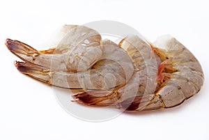 Fresh shrimps photo