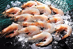 Fresh shrimps