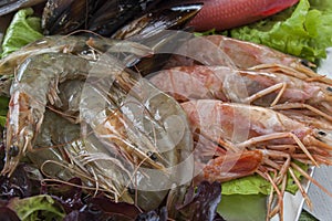 Fresh shrimps and fish photo