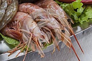 Fresh shrimps photo