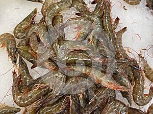 Fresh shrimps on ice in a supermarket