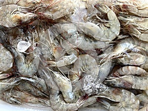 fresh shrimps in ice in supermarket