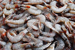Fresh shrimps on market