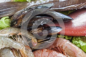 Fresh shrimps, mussels and fish photo