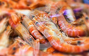 Fresh Shrimps Section On Retail Supermarket