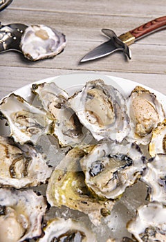 Fresh shucked oysters plate over wood background