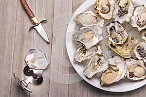 Fresh shucked oysters plate over wood background