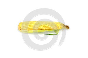 Fresh Single ear of corn isolated on white background