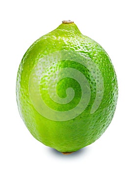 Fresh single whole lime isolated on white background.