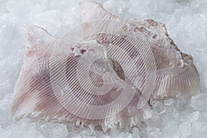 Fresh skate fish wings
