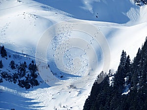 Fresh ski trails on the winter alpine snow cover in Alpstein mountain range and in Appenzell Alps massif, Unterwasser