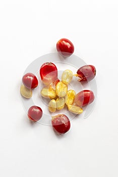 Fresh skin of coffee cherries for made cascara tea eco-friendly photo