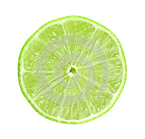 Fresh slice lime