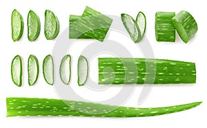 Fresh sliced Aloe Vera leaf