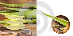 Fresh sliced aloe vera leaf - Text space photo