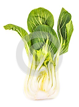 Fresh sliced Bok Choy (Pak Choi)