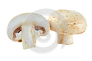 Fresh sliced champignons isolated on white background. Background of organic food