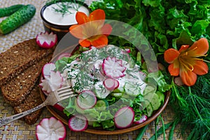 Fresh sliced cucumber salad and radishes with sour cream and herbs