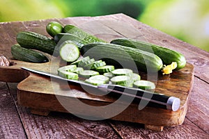 Fresh and sliced cucumbers. Sliced cucumbers on a cutting board. photo