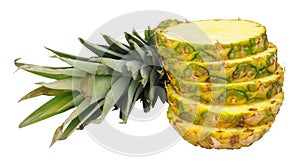 Fresh Sliced Pineapple