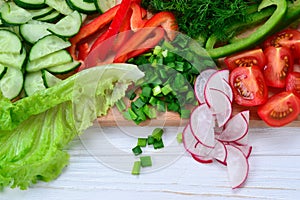 Fresh sliced vegetables on a salad: radish, cherry, greens, cucumber, red pepper.