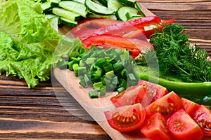 Fresh sliced vegetables on a salad: radish, cherry, greens, cucumber, red pepper.