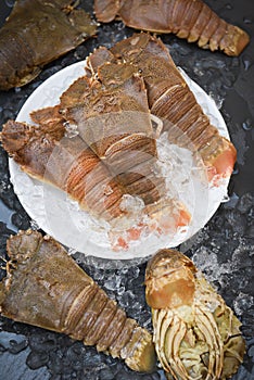 Fresh slipper lobster flathead for cooking on dark background in the seafood restaurant or seafood market, Raw flathead lobster