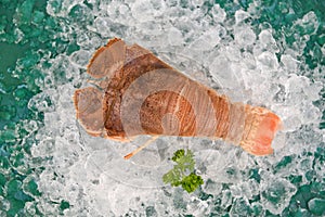 Fresh slipper lobster flathead for cooking in the seafood restaurant or seafood market, Raw flathead lobster shrimps on ice, Rock