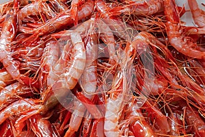 Fresh small red shrimp, seafood, carabinieri. Natural background