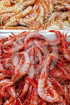 Fresh small red shrimp, seafood, carabinieri. natural background