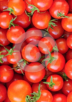 Fresh small tomatoes