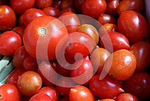 Fresh small tomatoes in market