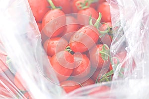 Fresh small tomatoes in plastic bag, fruit