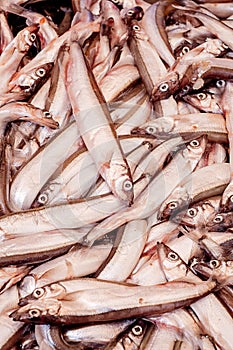 Fresh smelt, capelin or caplin fish. Selective focus