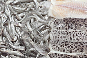 Fresh smelt, catfish fillet, pangasius fillet