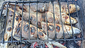 Fresh smoked milkfish grilled using charcoal photo