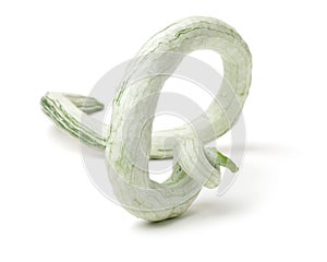 Fresh Snake gourd luffa