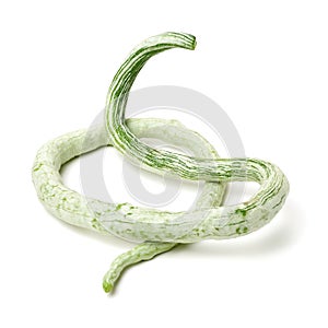 Fresh Snake gourd luffa