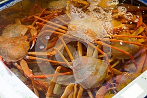 Fresh snow crabs in water