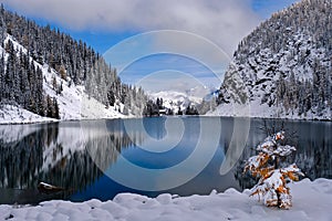 Fresh snow on mountains and trees by alpine lake on a sunny winter day with golden larch tree covered with snow on lake shore.
